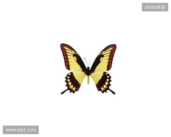 破茧成蝶:Legacy如何登顶南美、跻身世界顶尖行列