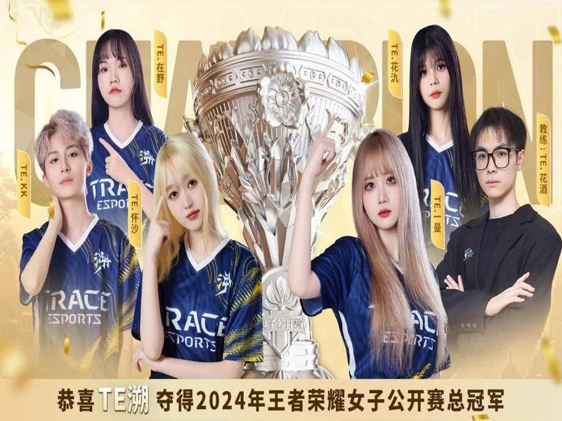 2025年王者荣耀女子公开赛年度总决赛圆满落幕 TE溯实现三连冠